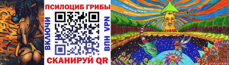 Галлюциногенные грибы мицелий  Каневская 